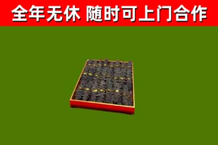 哈密烟酒回收海参.jpg